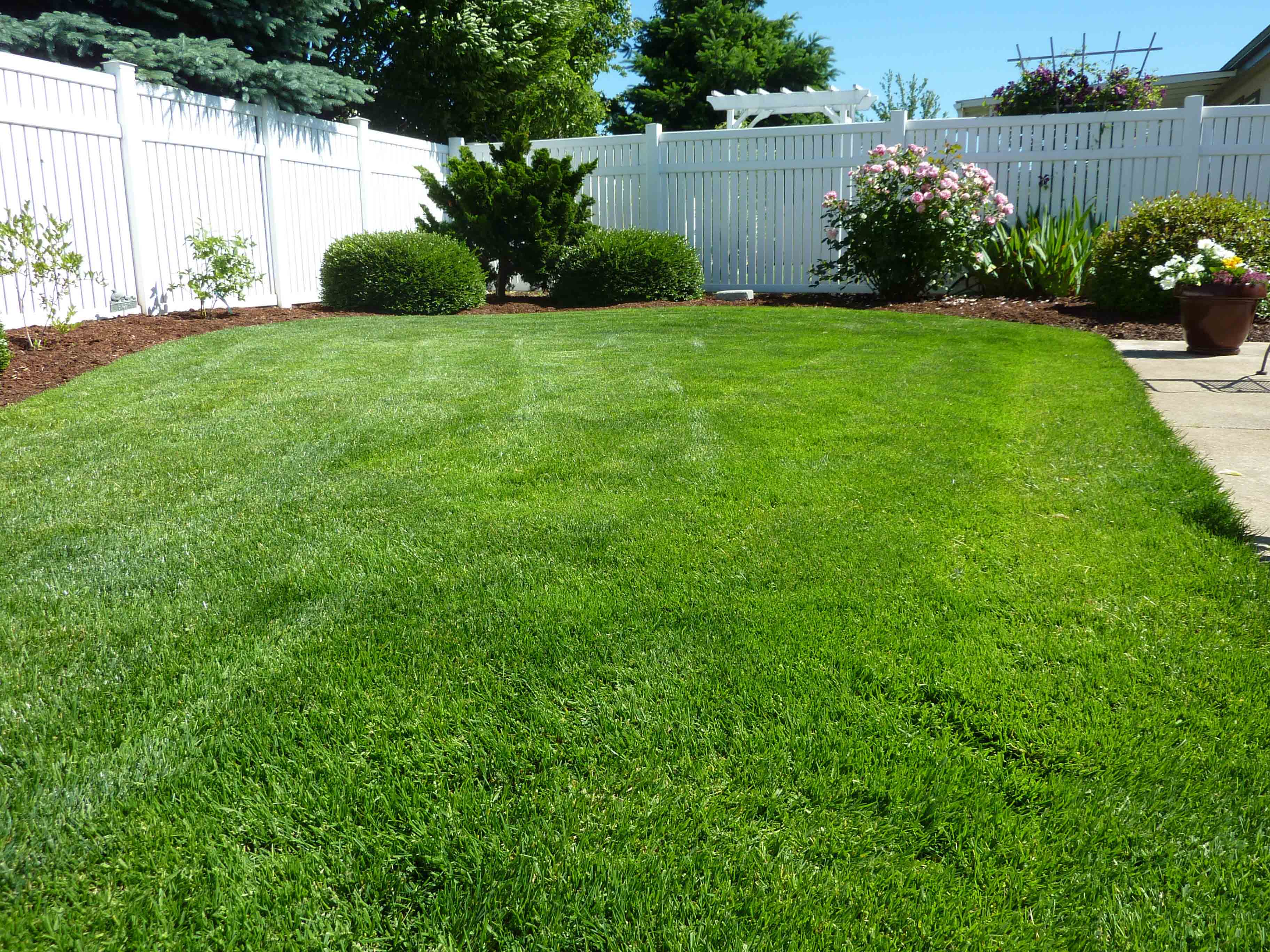  SHAWN S LAWNS