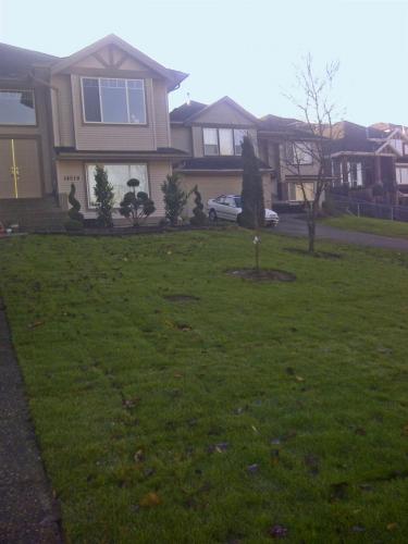 Redo lawn_After_1