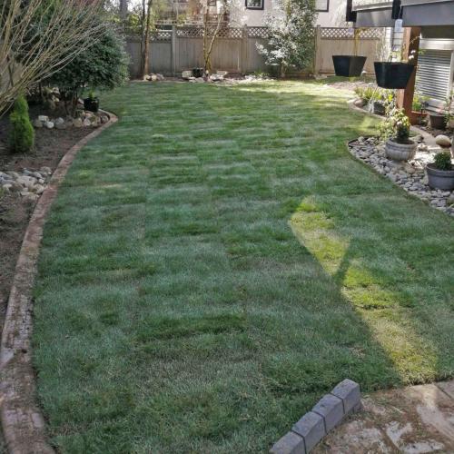 Sumac Place turf instal - after