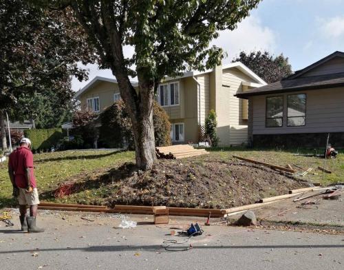 Landscape work placing a garden box in front and replacing front lawn with new turf. - 74 Ave  (Before)