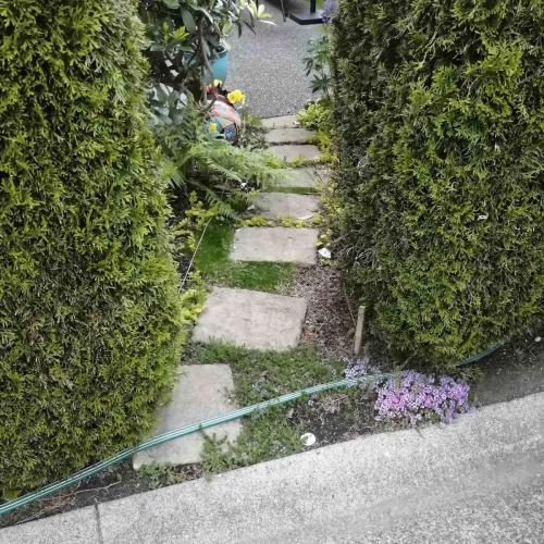 Pathway upgrade - before. 28 ave